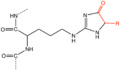 Hydroimidazolone Advanced Glycation End-product