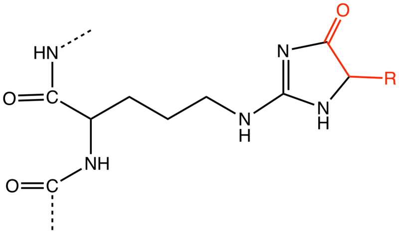 File:HydroimidazoloneAGE.png