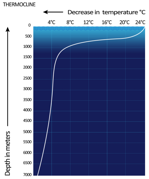 File:THERMOCLINE.png