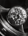 Thumbnail for version as of 03:41, 2 June 2026