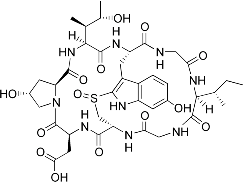 File:Epsilon-amanitin structure.png