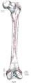 Thumbnail for version as of 03:47, 18 May 2026