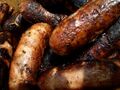 Grilled sausages