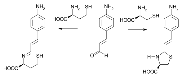 File:Cysteinehomocysteine.svg