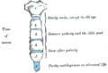 Thumbnail for version as of 17:28, 18 May 2026