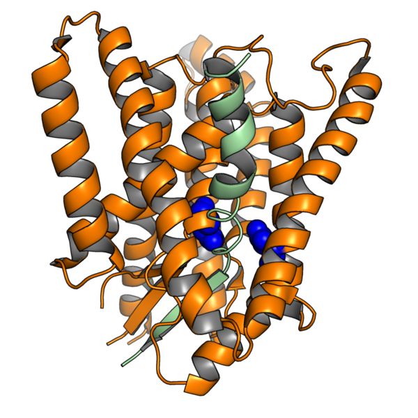 File:6idf psen1 notch blue asp.png
