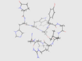 The structure of GNRH1
