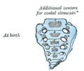 Thumbnail for version as of 17:28, 18 May 2026