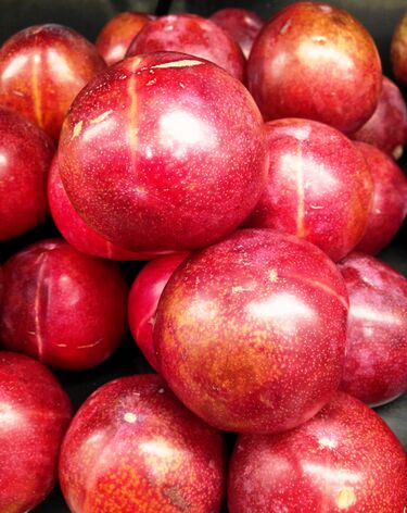 File:Red pluots.JPG