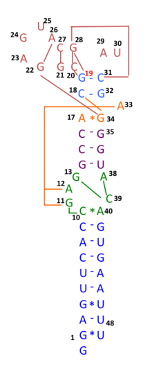 File:S2m structure of SARS-CoV.png