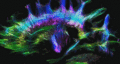 Thumbnail for version as of 22:32, 8 June 2026