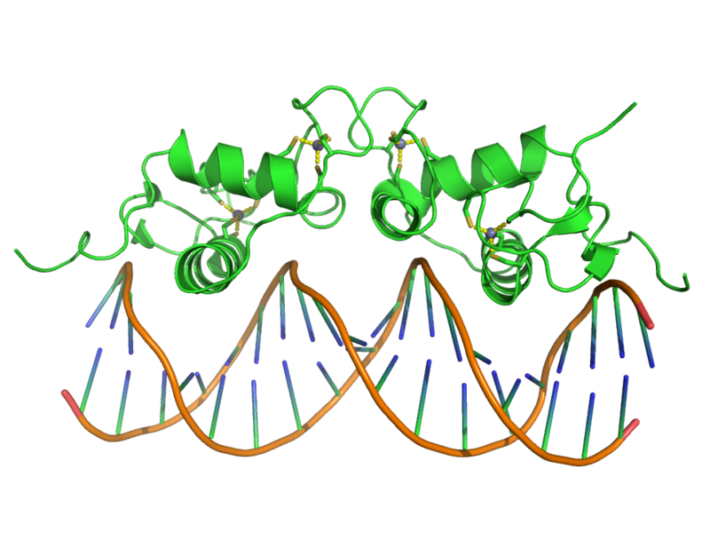 File:1r4o.png
