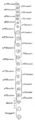 Thumbnail for version as of 17:28, 18 May 2026