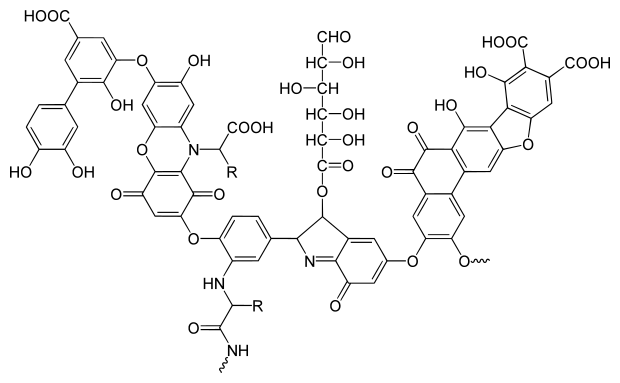 File:Humic acid.svg
