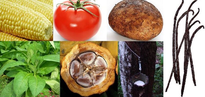 File:New World Domesticated plants.JPG