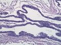 Thumbnail for version as of 19:19, 4 June 2026