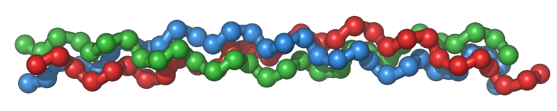 File:Collagentriplehelix.png