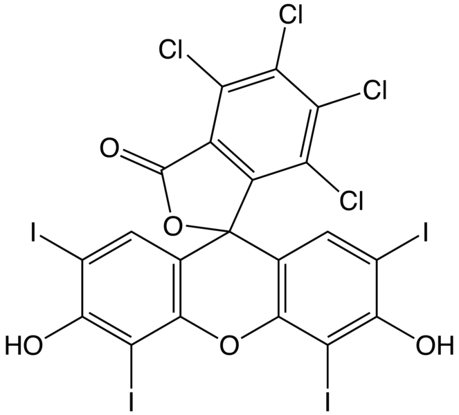 File:Rosebengalskeletal.png