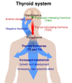 Thumbnail for version as of 00:59, 19 May 2026