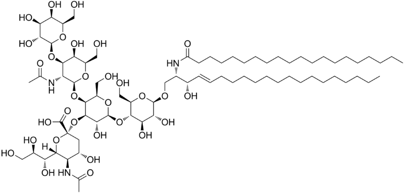 File:GM1 ganglioside.png
