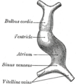 Thumbnail for version as of 17:28, 18 May 2026