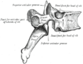 Thumbnail for version as of 17:28, 18 May 2026