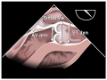 Thumbnail for version as of 13:38, 8 June 2026