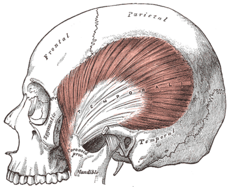File:Gray382.png