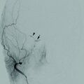 Thumbnail for version as of 01:22, 2 June 2026