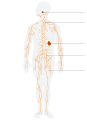Thumbnail for version as of 03:22, 5 June 2026