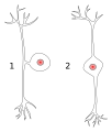 Thumbnail for version as of 09:21, 30 May 2026