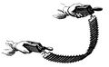 Pulvermacher chain