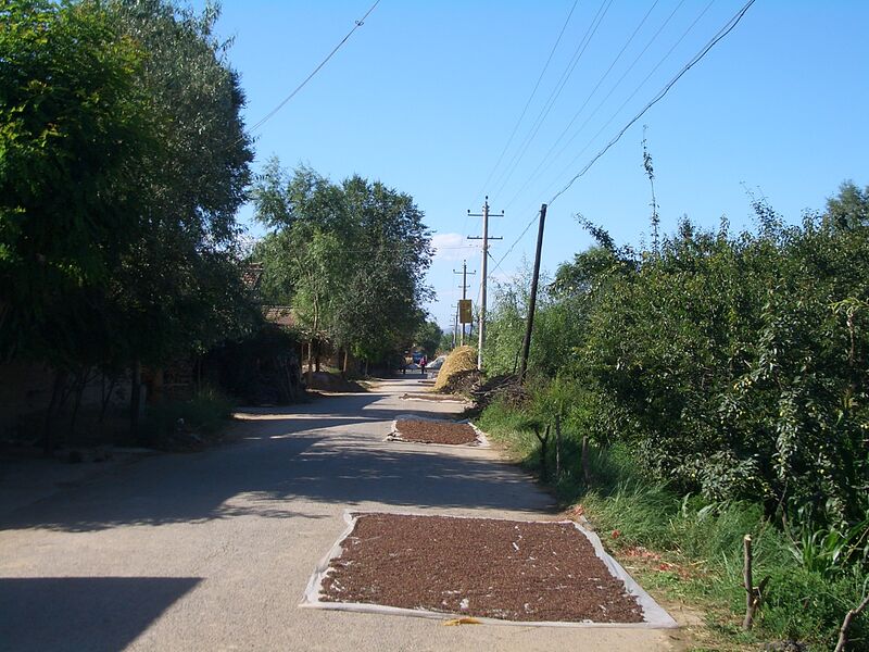File:5911-Linxia-County-Xihe-township-drying-pepper.jpg
