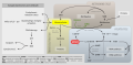Thumbnail for version as of 00:59, 19 May 2026