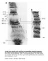 Thumbnail for version as of 02:10, 7 June 2026