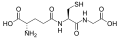 Thumbnail for version as of 14:55, 19 May 2026