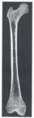 Thumbnail for version as of 17:28, 18 May 2026