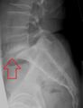 Thumbnail for version as of 03:40, 2 June 2026