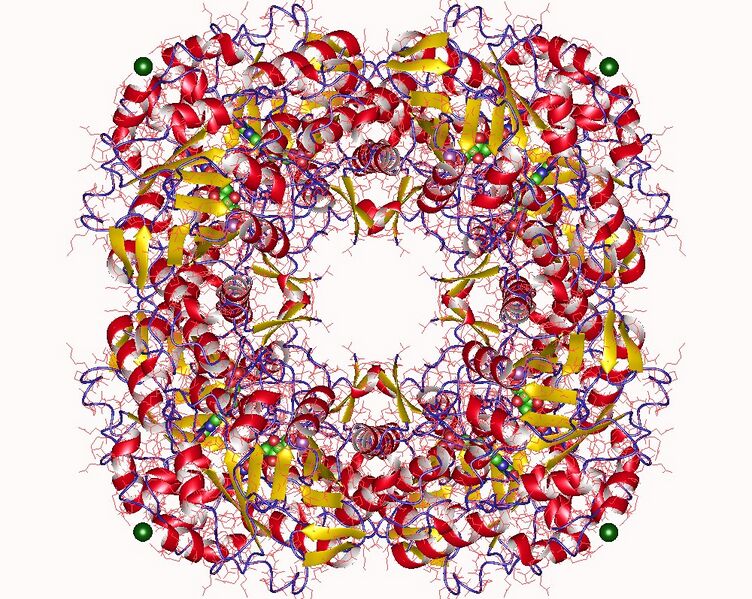File:1vcf.jpg