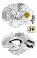 Thumbnail for version as of 19:16, 4 June 2026