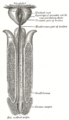 Thumbnail for version as of 03:47, 18 May 2026