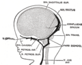 Thumbnail for version as of 17:27, 18 May 2026