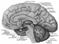 Thumbnail for version as of 17:28, 18 May 2026