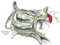 Thumbnail for version as of 17:27, 18 May 2026