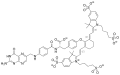 Thumbnail for version as of 14:56, 19 May 2026