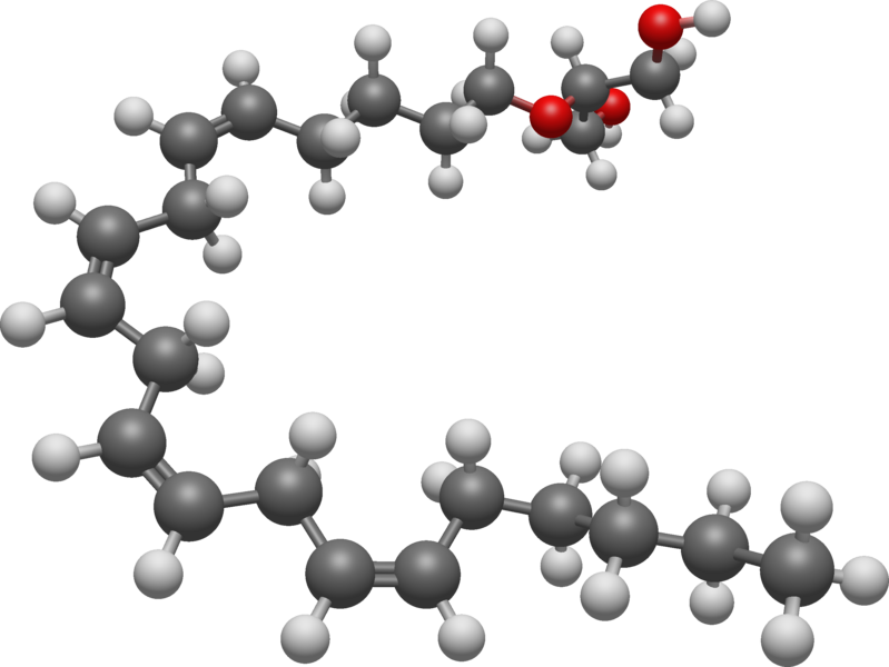 File:2-arachidonoyl glyceryl ether 3D BS.png