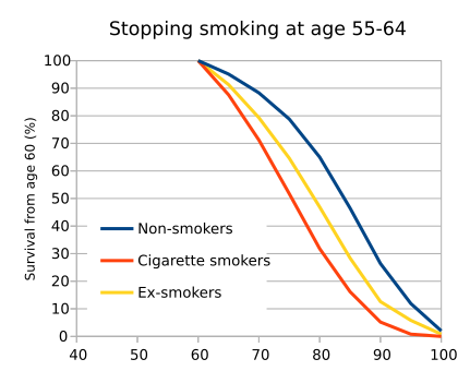 File:British doctors study 60.svg