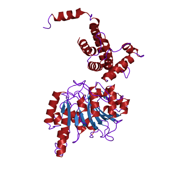File:2ar0 structure.png