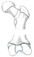 Thumbnail for version as of 17:28, 18 May 2026
