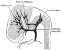 Thumbnail for version as of 17:27, 18 May 2026